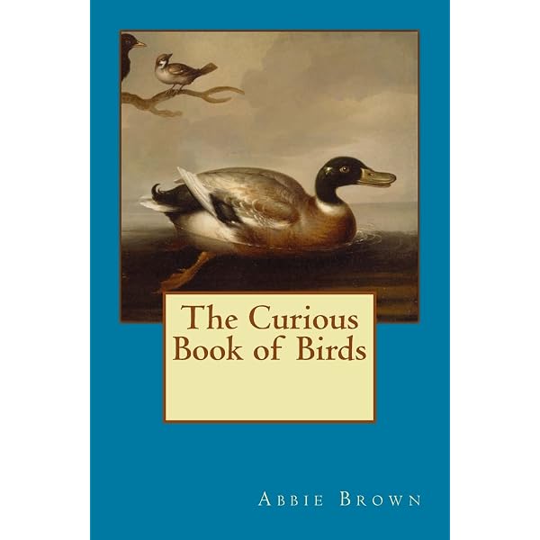 The Book of Owls: Walker, Lewis Wayne: 9780292707887: Amazon.com